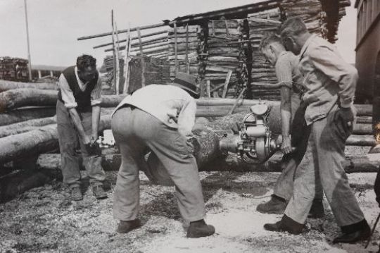 Foto Sägen mit der Zweimannsäge