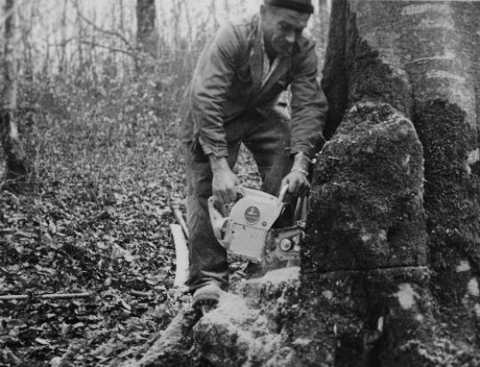 Foto Anschroten