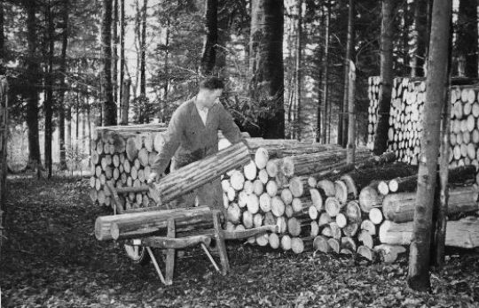 Foto Papierholz aufschichten