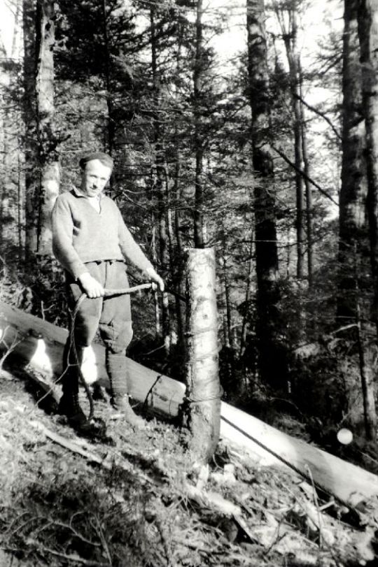 Foto Abseilen von Nutzholz