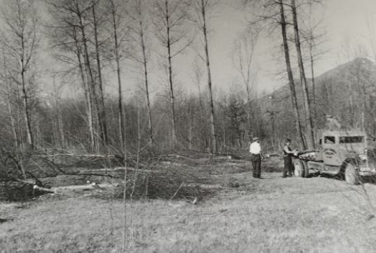 Foto Rodung für die Korrektion des Ticino