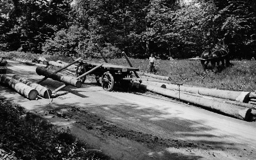 Foto Holzverlad auf Wagen mit Pferden