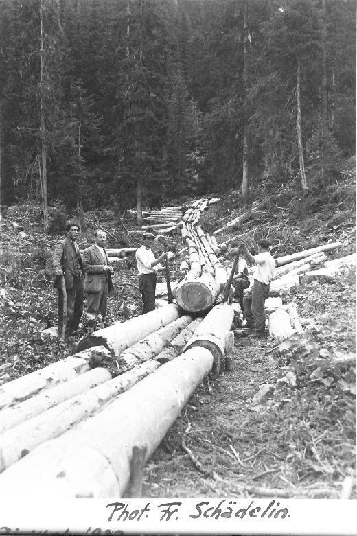 Foto Reistkanal aus Rundholz