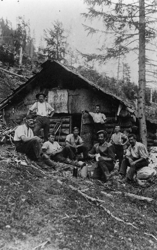 Foto Paus vor Schutzhütte