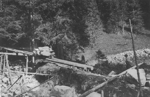 Foto Steinriese