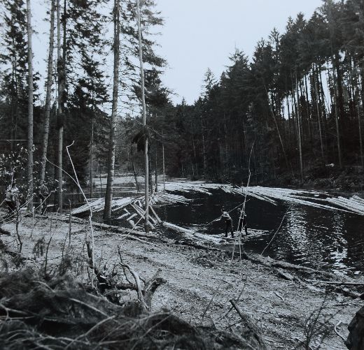 Foto Flössen im Brienzersee