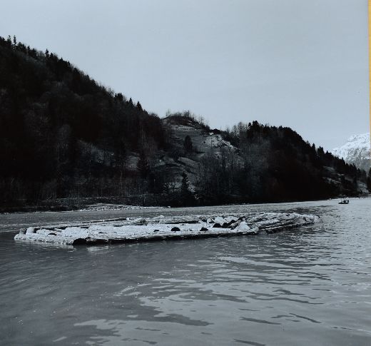 Foto Holzfloss im Brienzersee