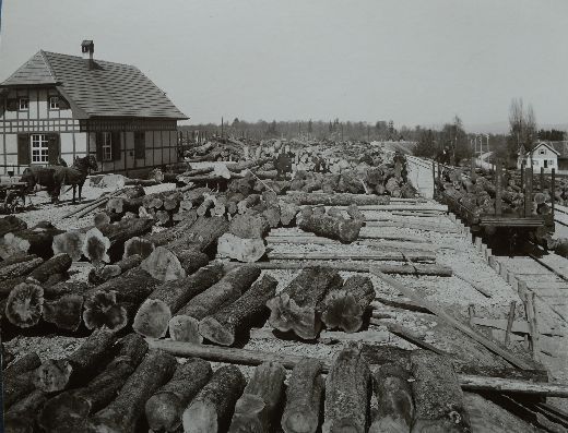Foto Sägewerk Lengwil, Bahnhof