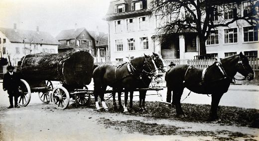 Foto Dreispänniges Holzfuhrwerk