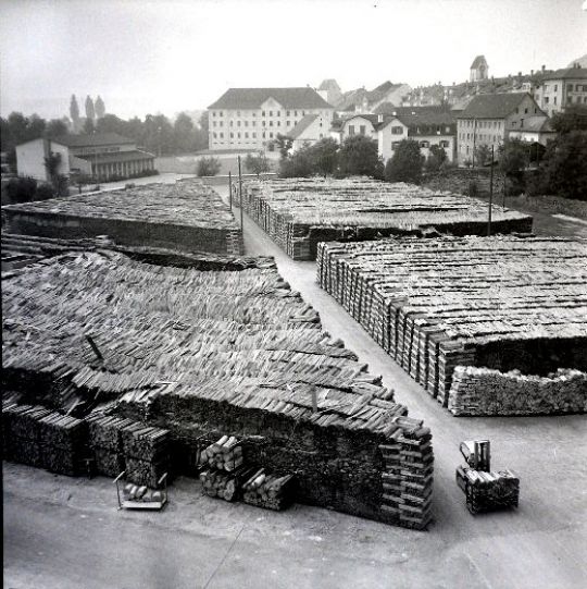 Foto Lagerplatz Novopan