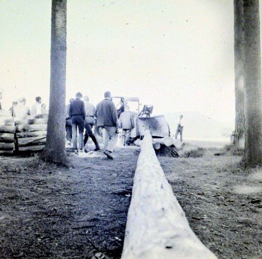 Foto Rücken von Langholz