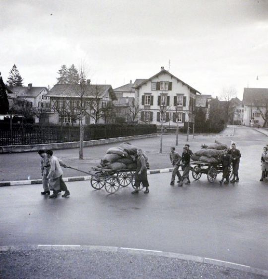 Foto Tannzapfen sammeln
