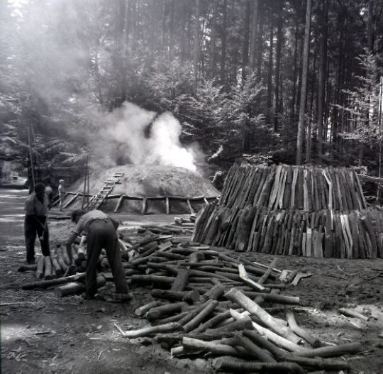 Foto Köhlerei