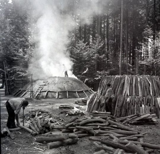 Foto Köhlerei