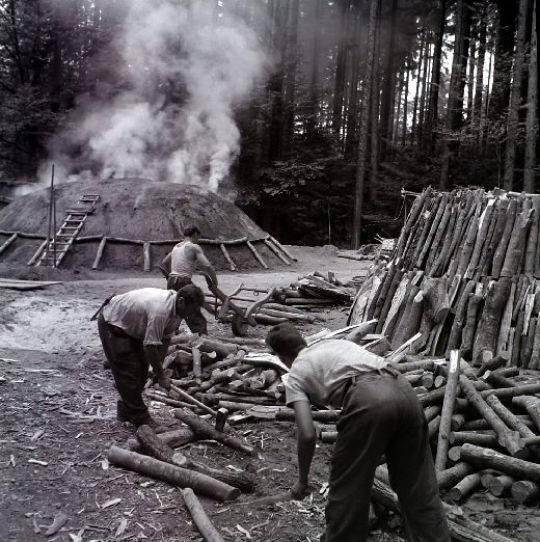 Foto Köhlerei
