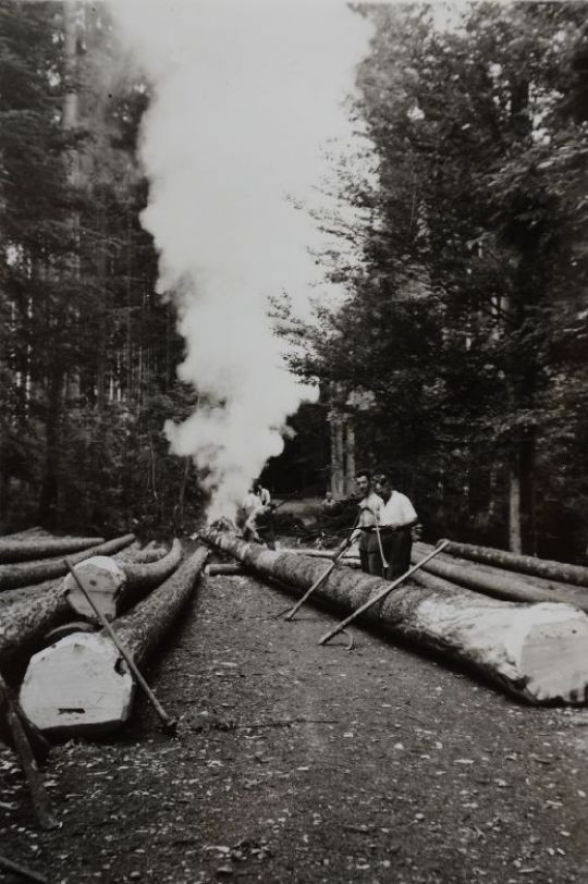 Foto Entrinden von Langholz